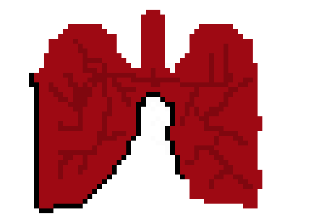 [0cc342] Lungs
