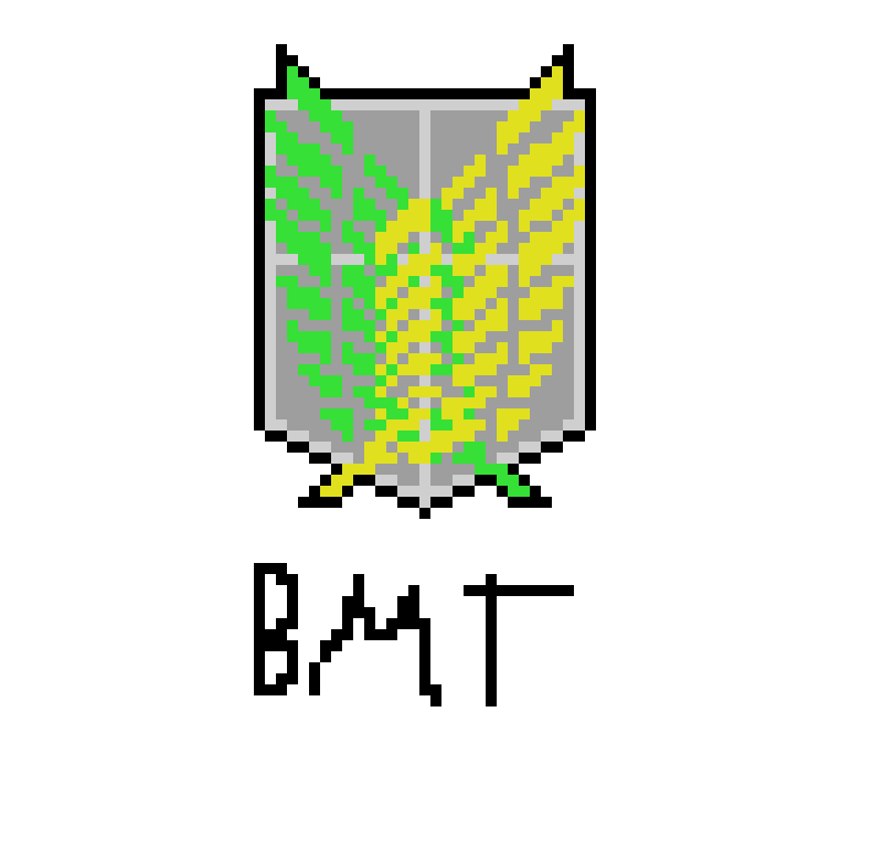 [a11ea5] BMT FLAG