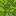 [537102] Leaves