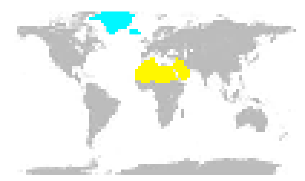 [26a02e] map