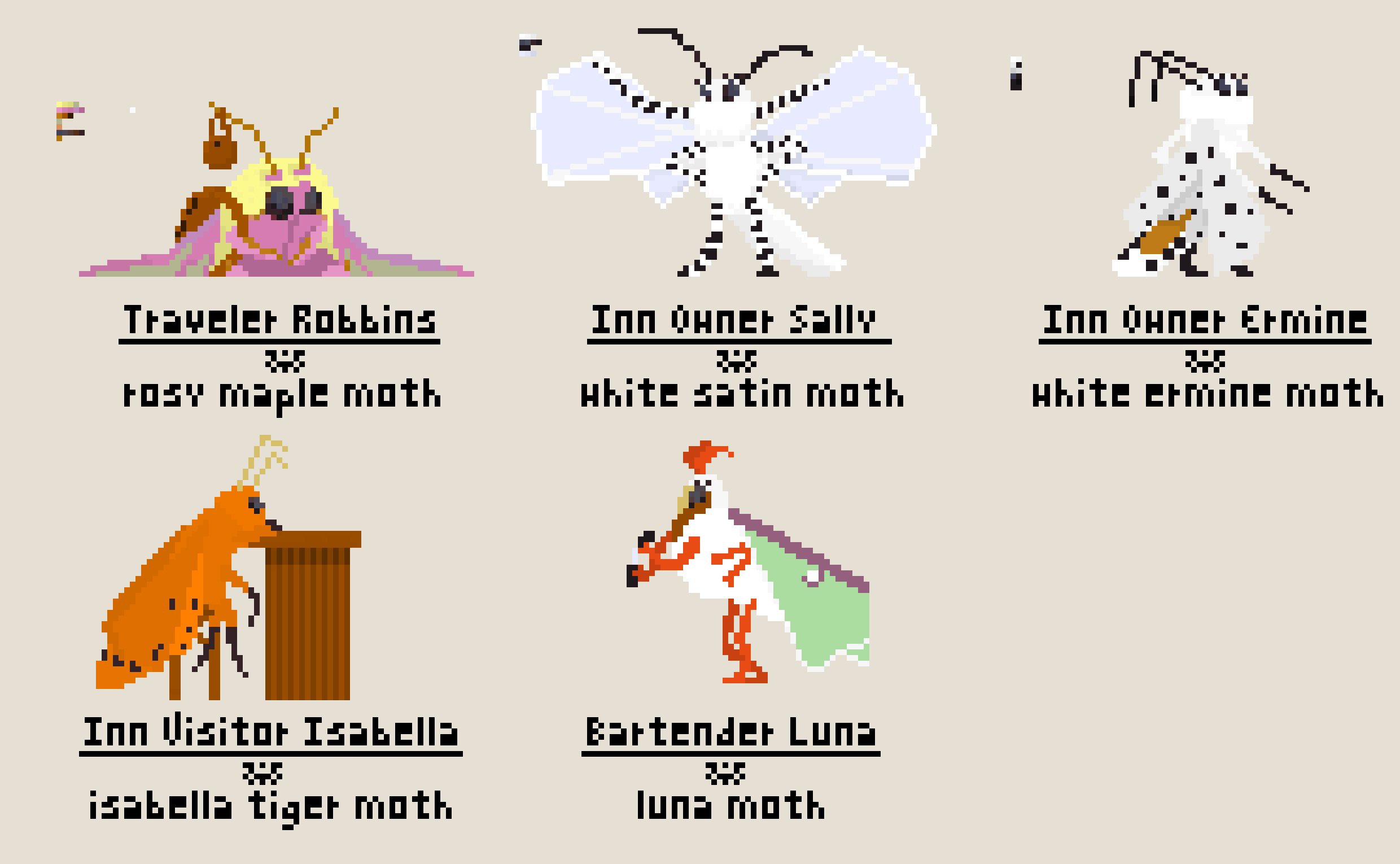 [13e494] moth