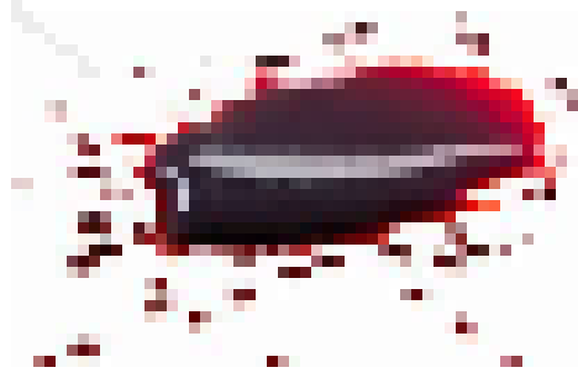 [554ebd] bllooood