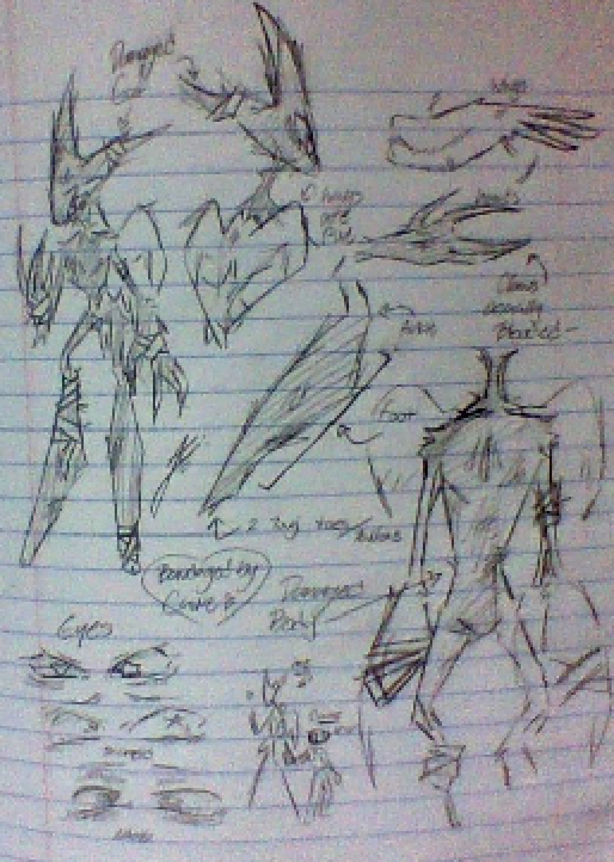 [d0698a] guys- do you like Aorta? I gave her so many cool details for my role-play and would love questions regarding them! unless there's sum serious going on-