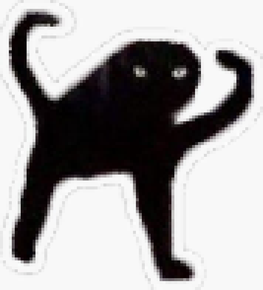 [990543] Angy as fuk