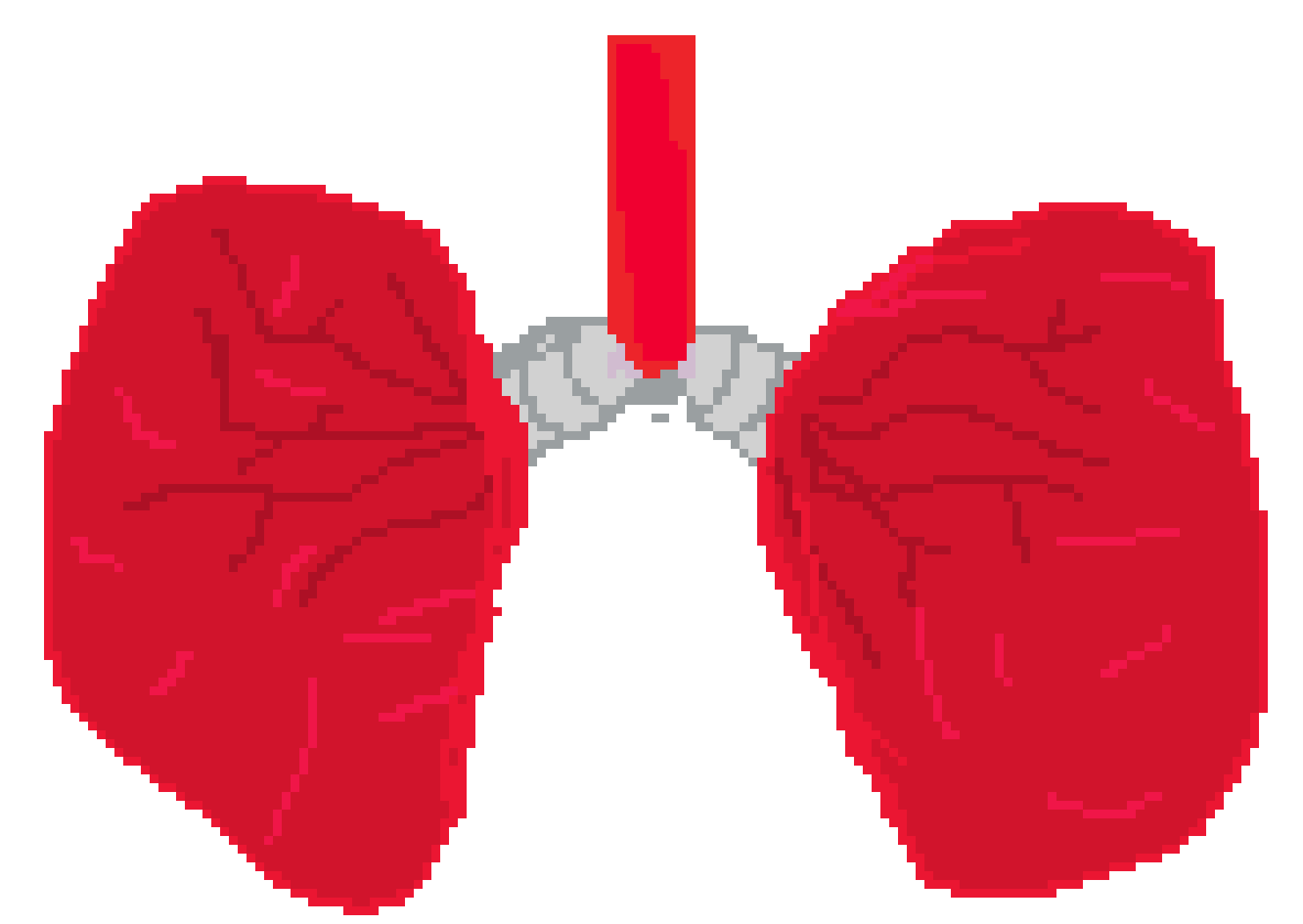 [401978] PIXEL LUNGS