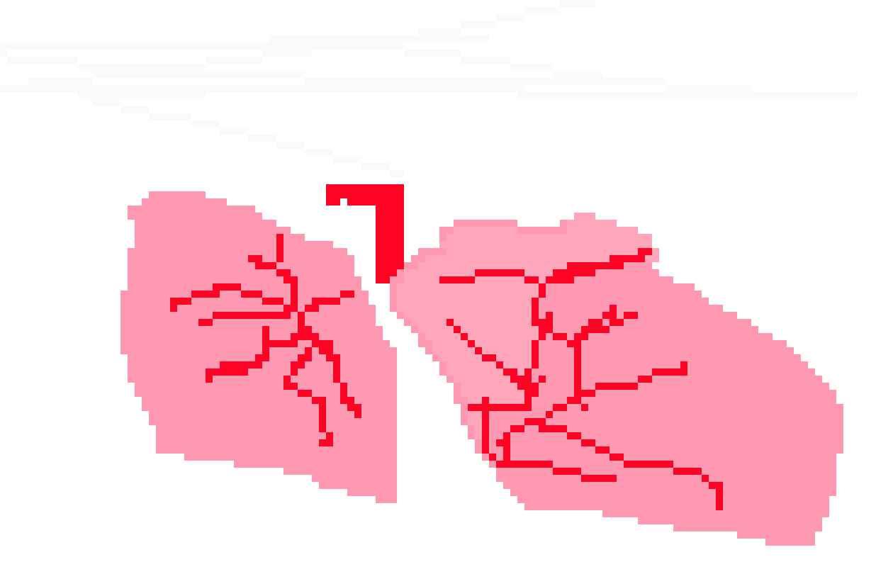 [401978] pixel lungs
