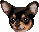 [dfdafc] Dog_11