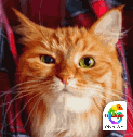 [e7d875] Lovepet_8