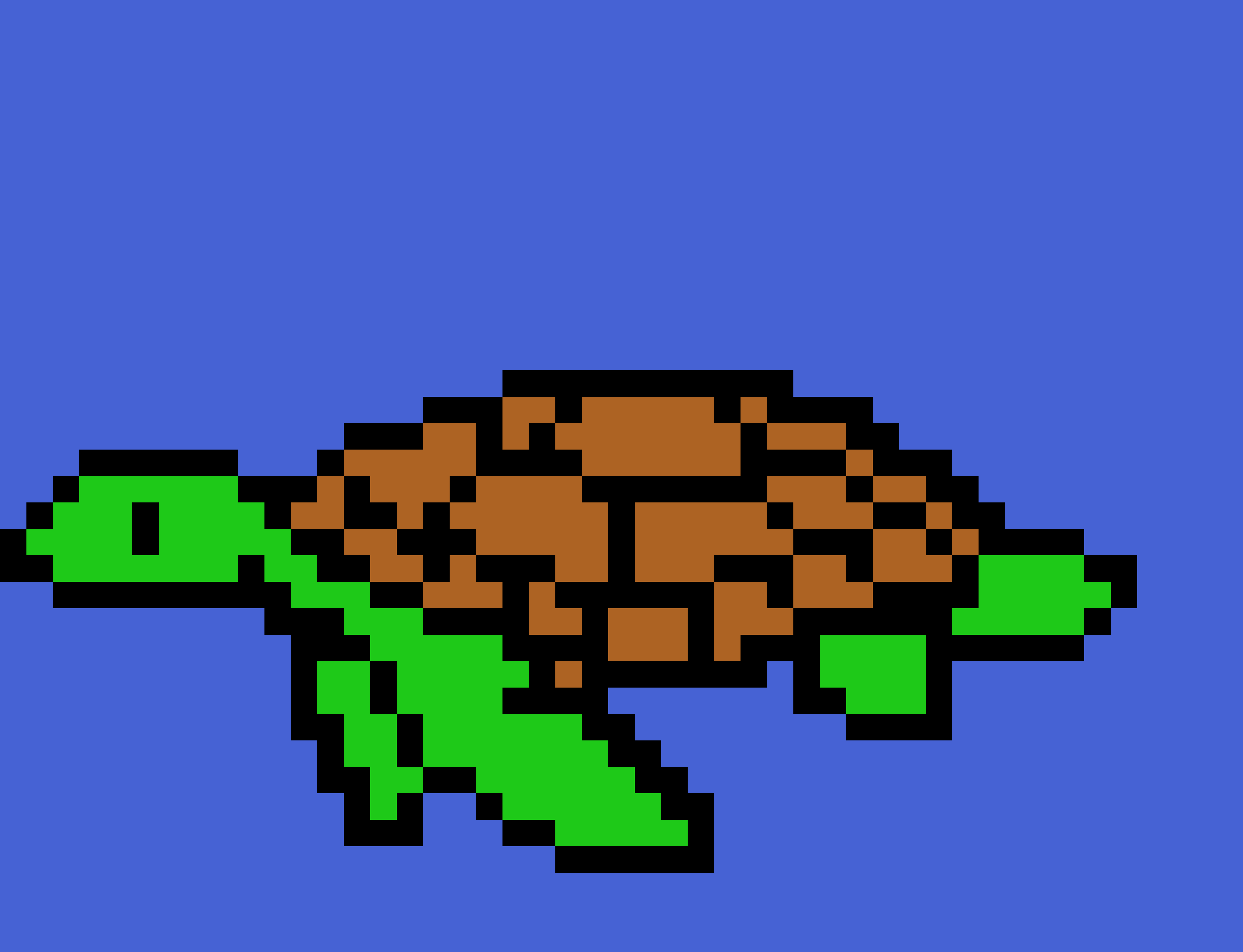 [9664c4] Bostons Turtle