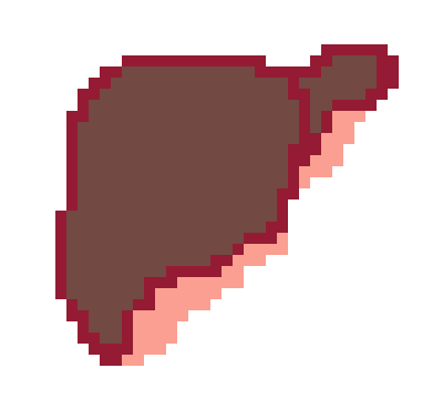 [2b4978] Liver Drawing