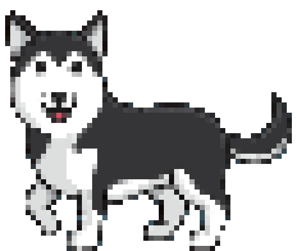 [0effdc] standing Husky