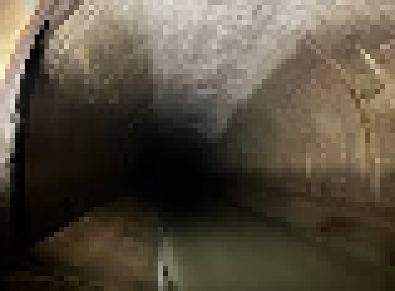 [bce8e5] MISUTI TURN: misuti sees an opening to the east.