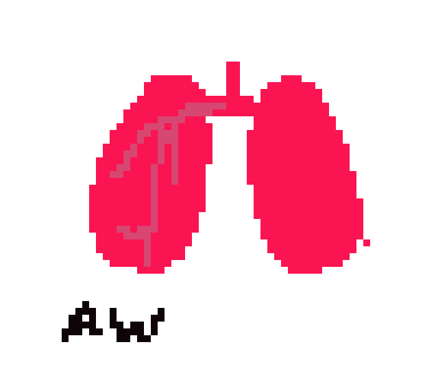 [2b4978] Lungs