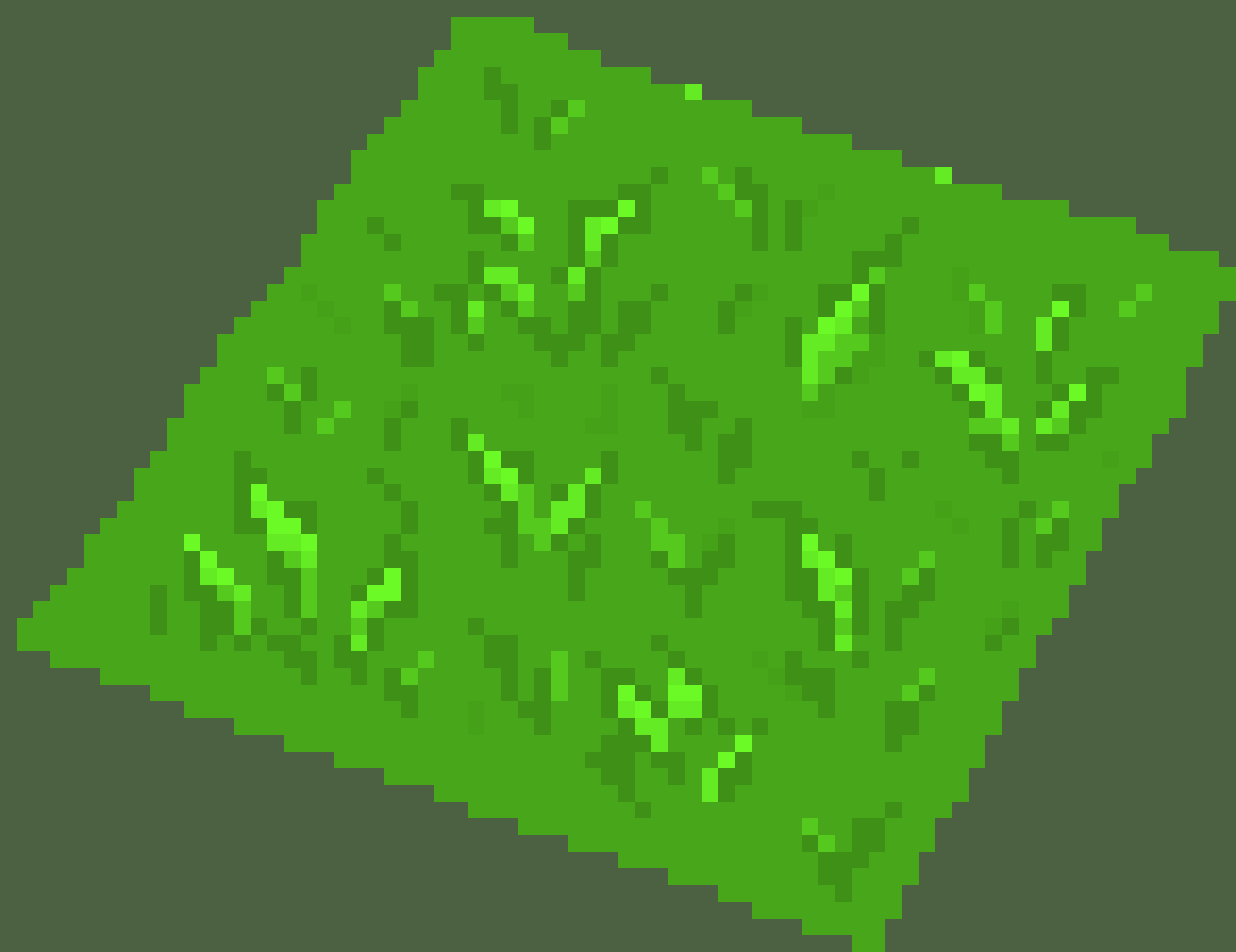 [9664c4] Grass 2