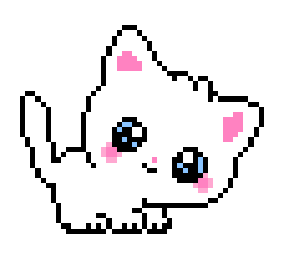 Kitten