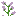 [9664c4] double_plant_syringa_top
