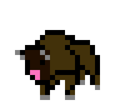 Bison