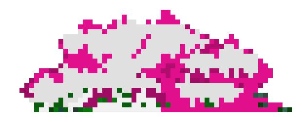 [759573] bush