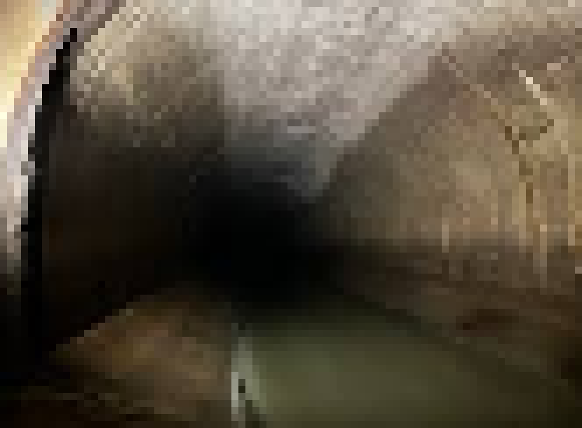 [bce8e5] lexi and pepper move west. there are... fresh footprints in the muck...