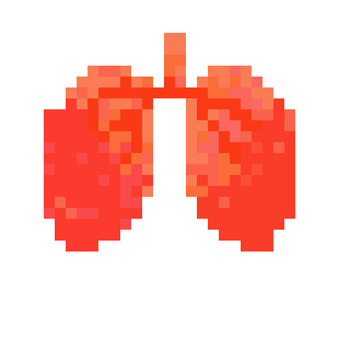 [2b4978] LUNGS