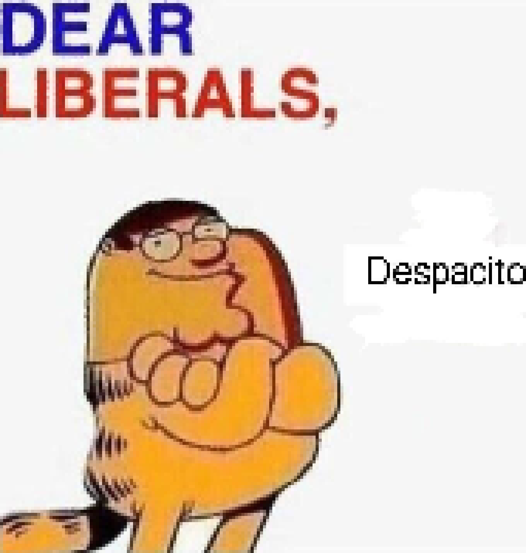 [990543] Dear Liberals