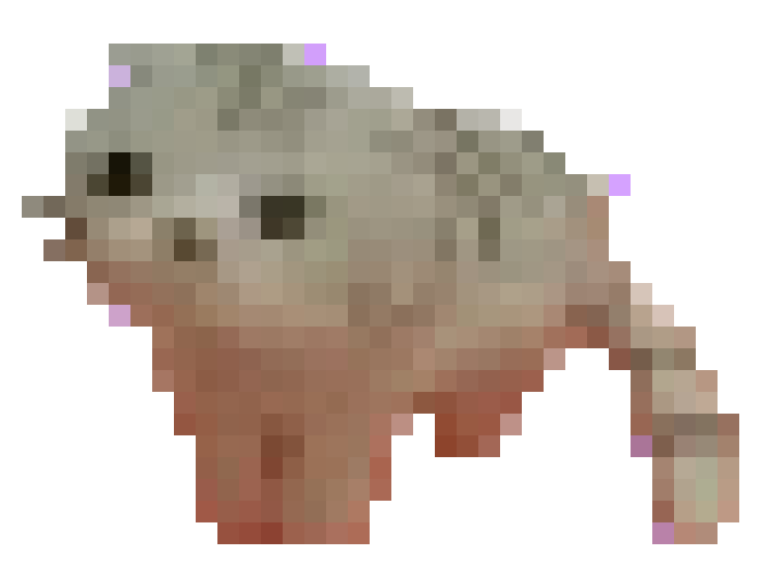[8484c6] wiwi