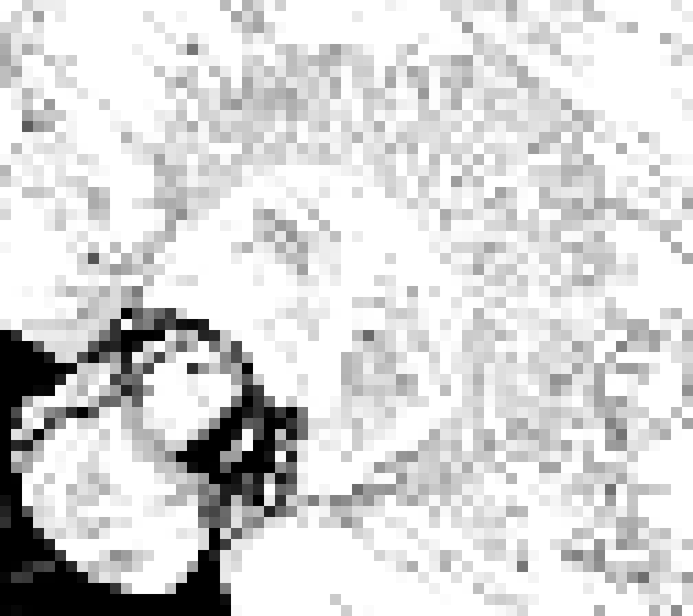 [006d2b] righ