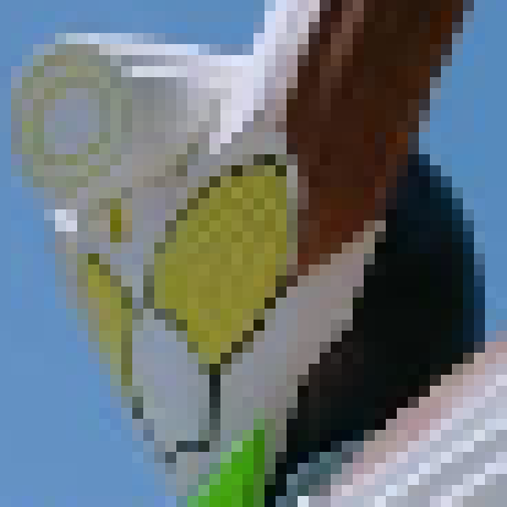 [1eb7ed] Bushel