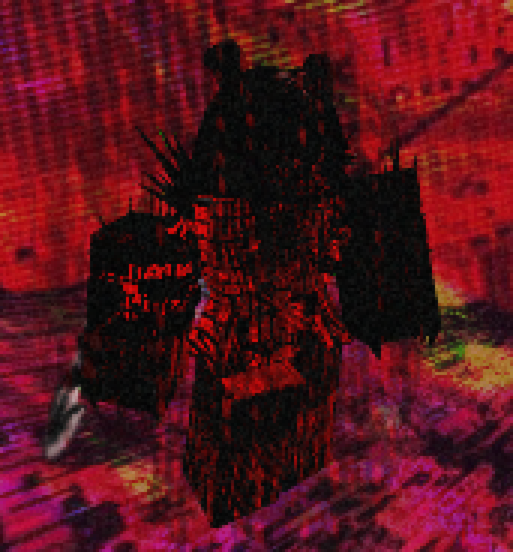 [816c09] Jimmy can probably guess who this and what it is. Brb-