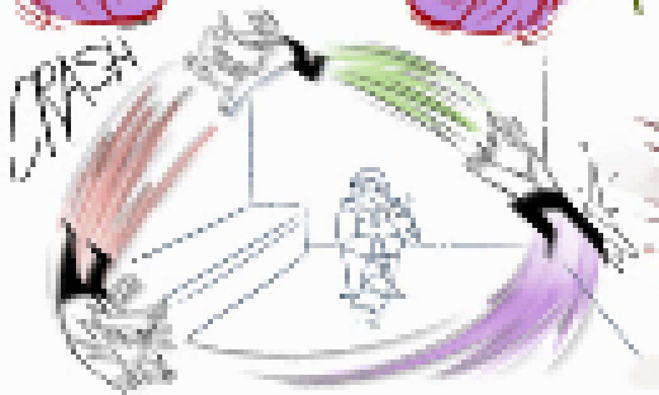 [61b451] no wasn't that a Pixilart thing or am i stupid