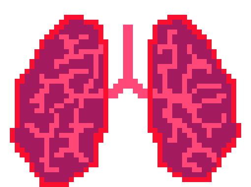 [4dcdda] The Lungs