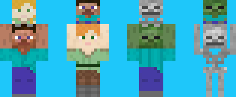 [5569fb] minecraft carry skins