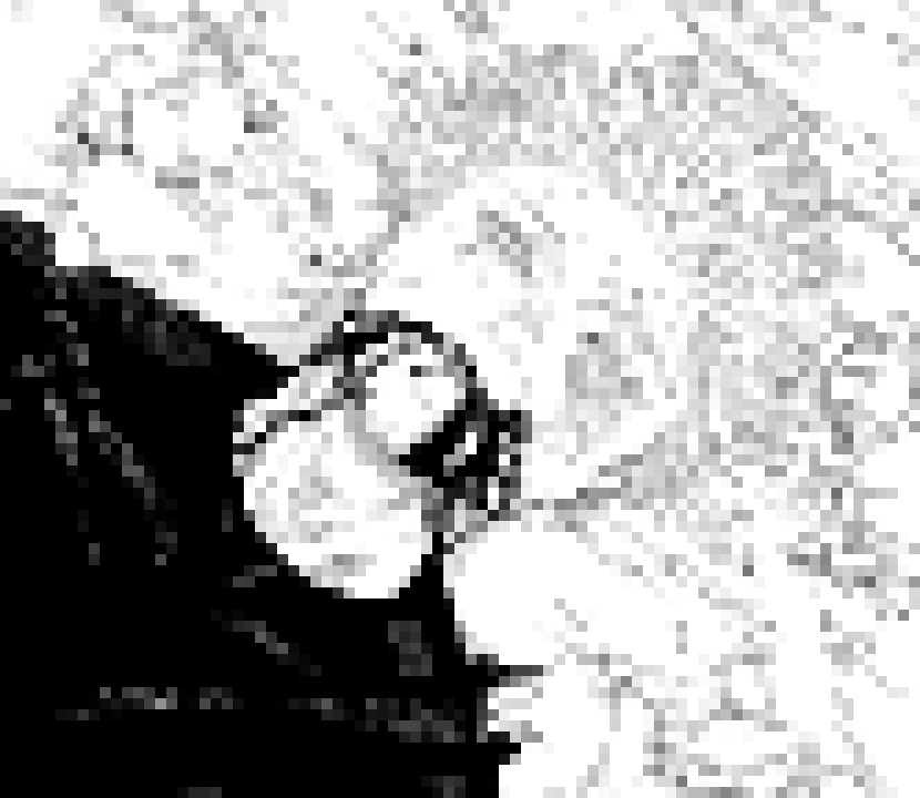 [006d2b] ngl one of these days we should all come together and work on how PAM Central even runs. like affordability, what stores are there, how the governing forces keep everything in check, that kinda stuff.