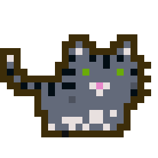 64x64