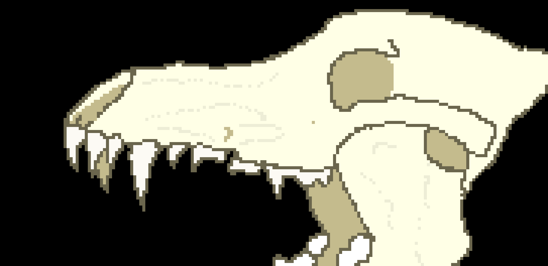 wolf skull