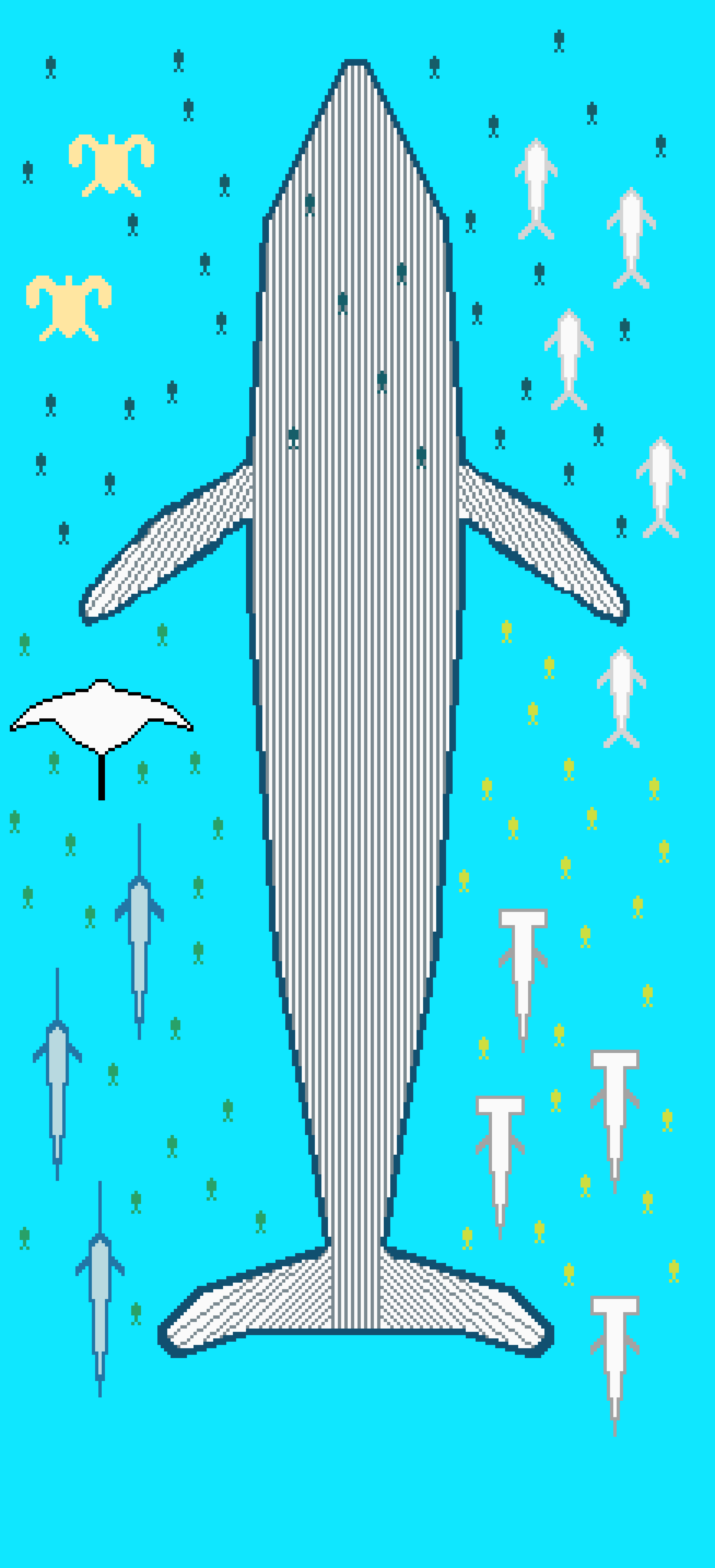 [f05cca] whale skateboard