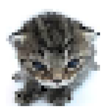 [797087] EWWWWWWWW