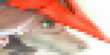 [629d76] Chat has been dead for a while. -Meepsworth