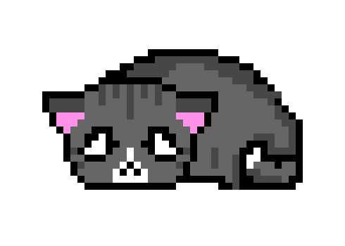[71fe05] sick Cat 1