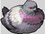 [f15231] dove