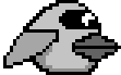 main_bird_2