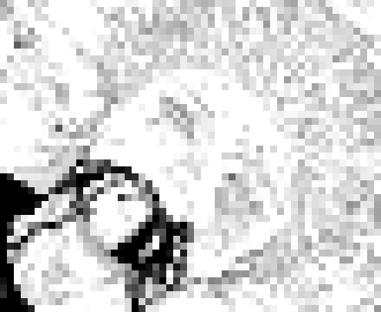 [006d2b] Don't man.