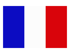 [d56862] french flag