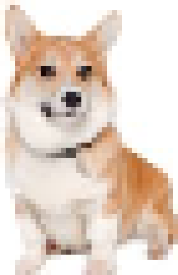 [6946cc] corgy