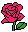 [9664c4] rose