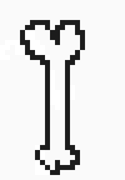 [d85548] Bone