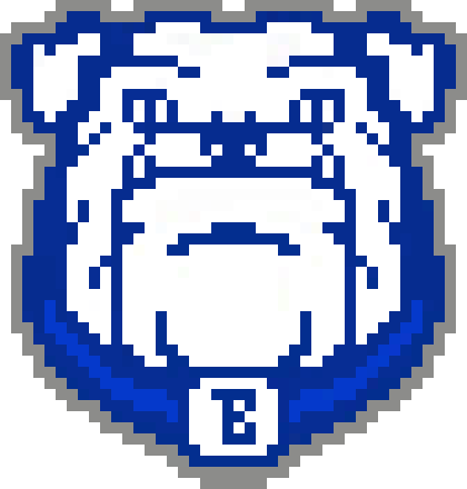 [22ce46] BMS Pixel