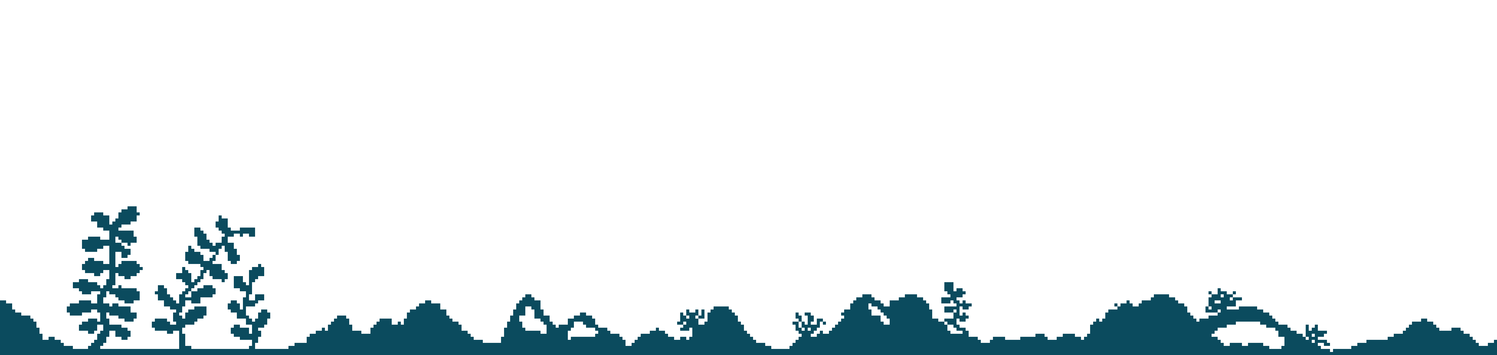[418061] tortuebackgroundfinfront