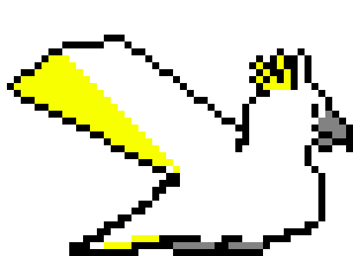 [478864] cockatoo flying