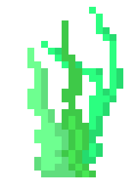 [599867] seaweed